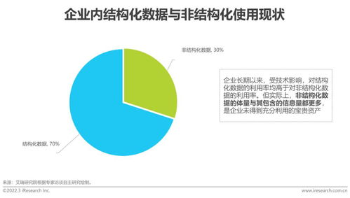 2022年中國人工智能數(shù)據(jù)治理行業(yè)研究報(bào)告 數(shù)據(jù)處理與存儲(chǔ)服務(wù)篇
